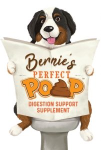 bernie's-perfect-poop